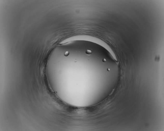 X0000111810219200908131507