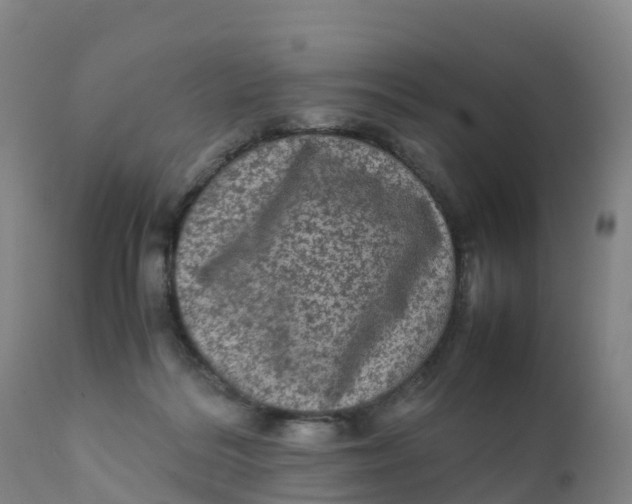 X0000111810220200908131507