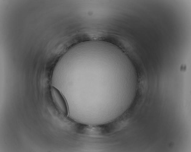 X0000111810221200908131507