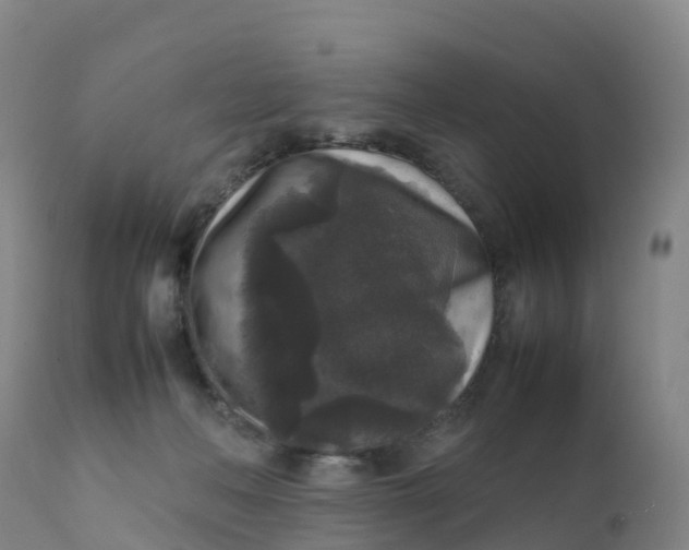X0000111810222200908131507