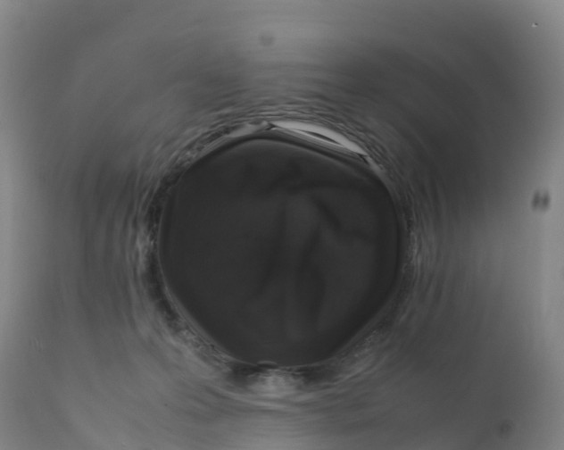 X0000111810223200908131506