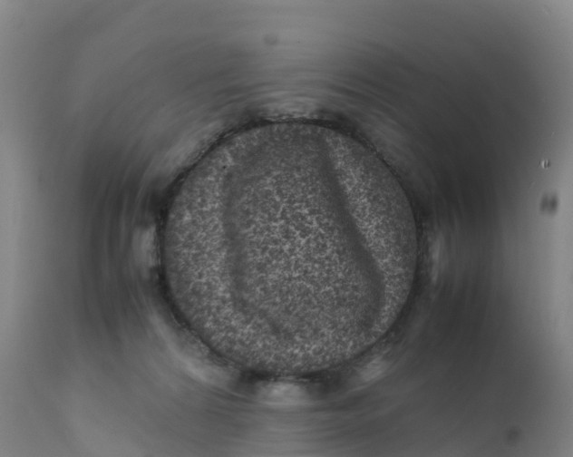 X0000111810224200908131506