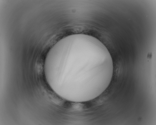 X0000111810226200908131506