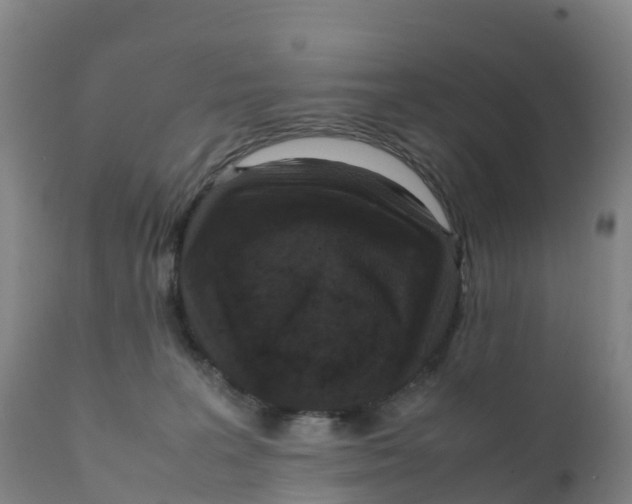 X0000111810227200908131506
