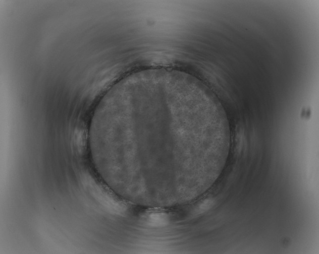 X0000111810228200908131506