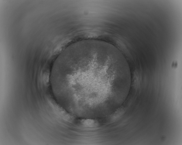 X0000111810230200908131506