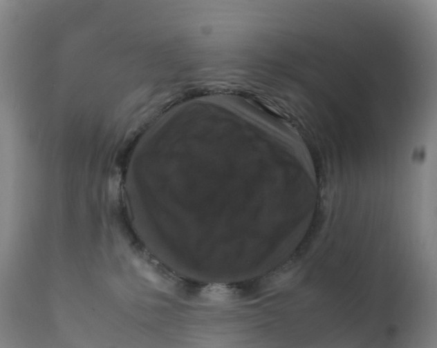 X0000111810231200908131506