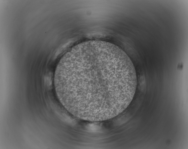 X0000111810232200908131506