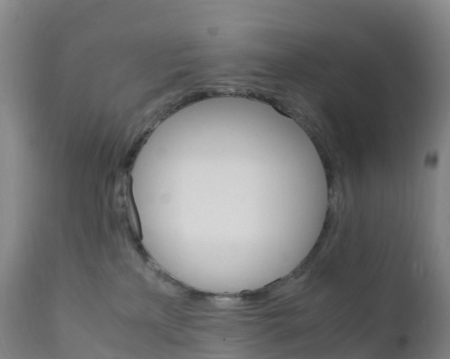 X0000111810233200908131506