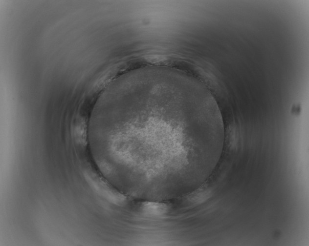 X0000111810234200908131506