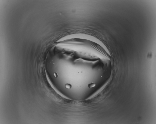 X0000111810235200908131506