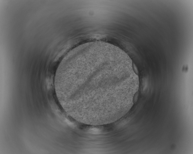 X0000111810236200908131506