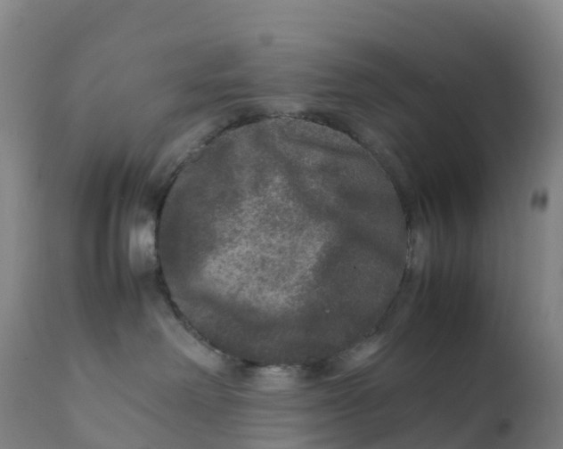 X0000111810238200908131506