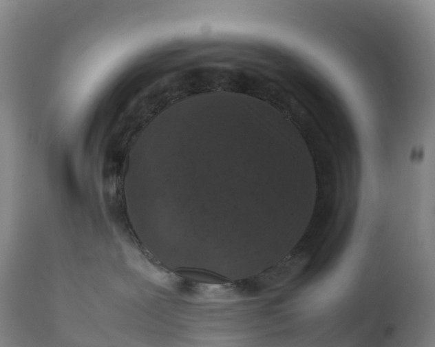 X0000111810239200908131506
