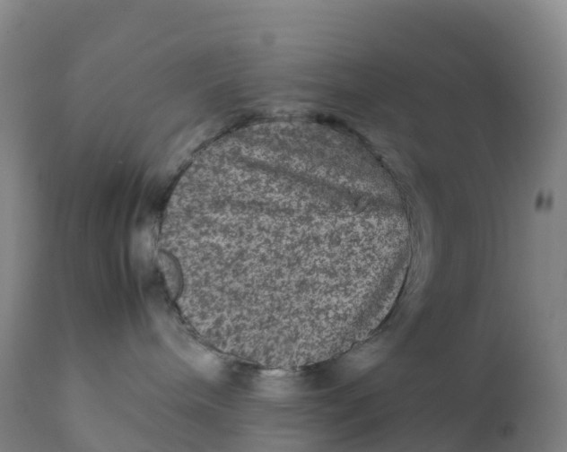 X0000111810240200908131506