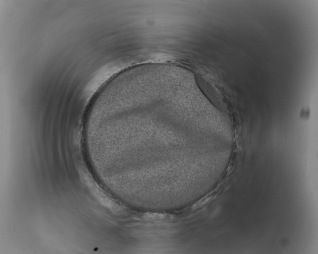 X0000111810242200908131505