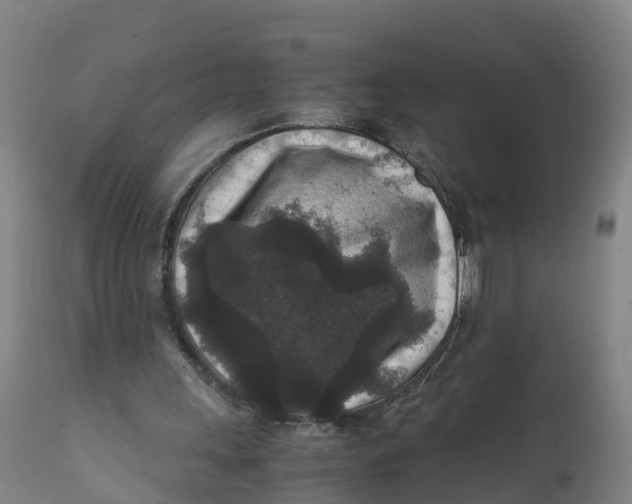 X0000111810243200908131505