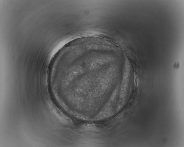 X0000111810244200908131505