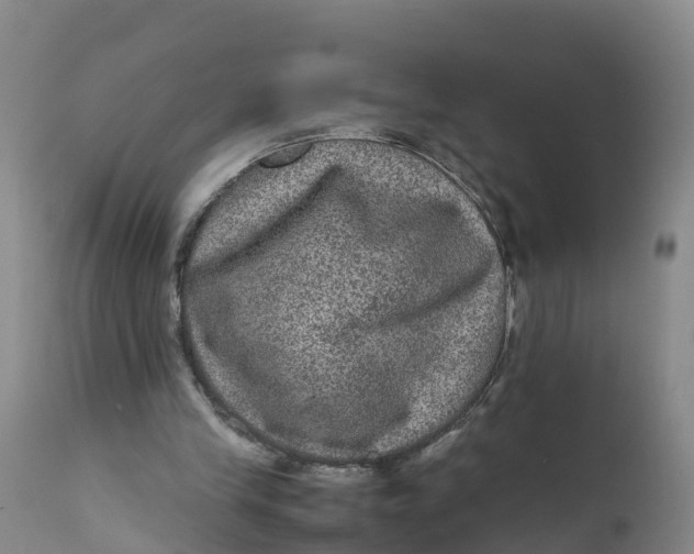 X0000111810245200908131505
