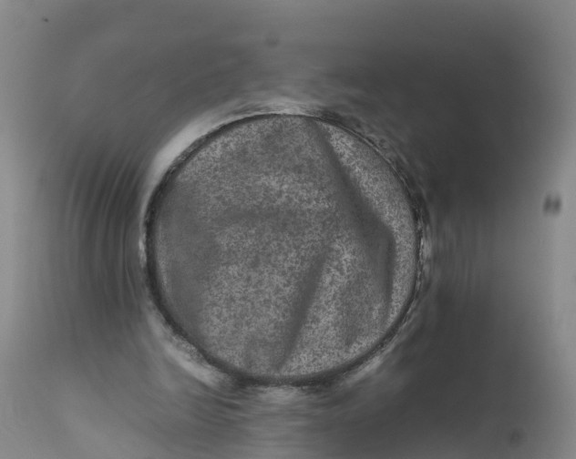 X0000111810246200908131506