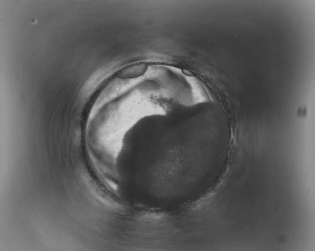 X0000111810247200908131506