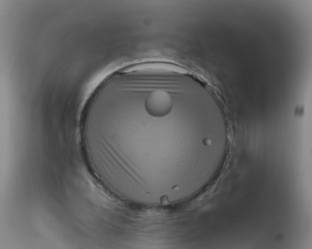 X0000111810248200908131506