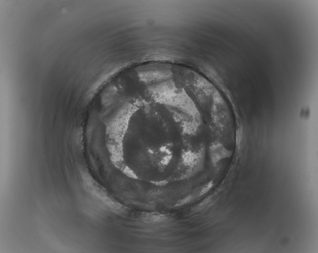 X0000111810249200908131506