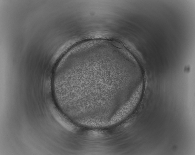 X0000111810250200908131506