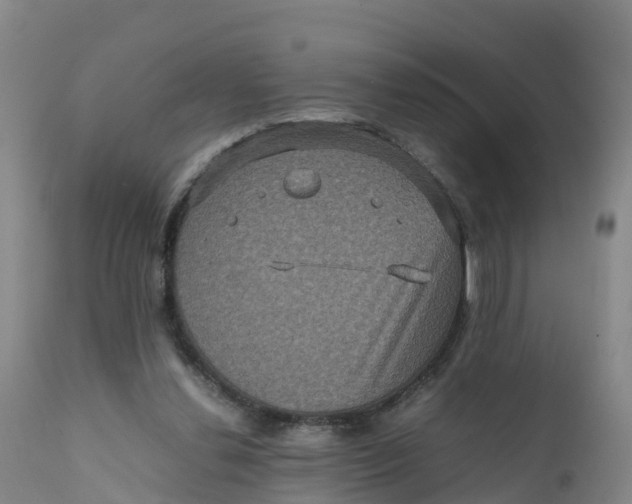 X0000111810252200908131506
