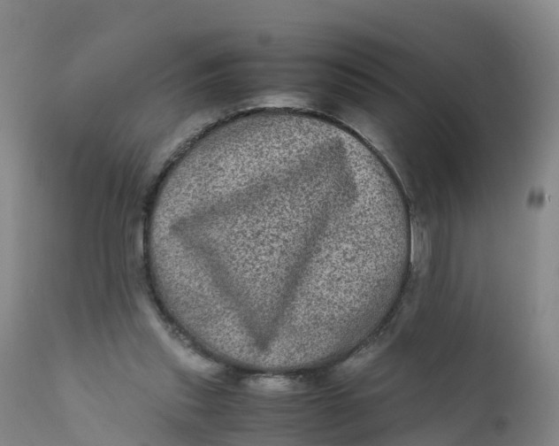 X0000111810253200908131506