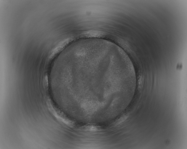 X0000111810254200908131506