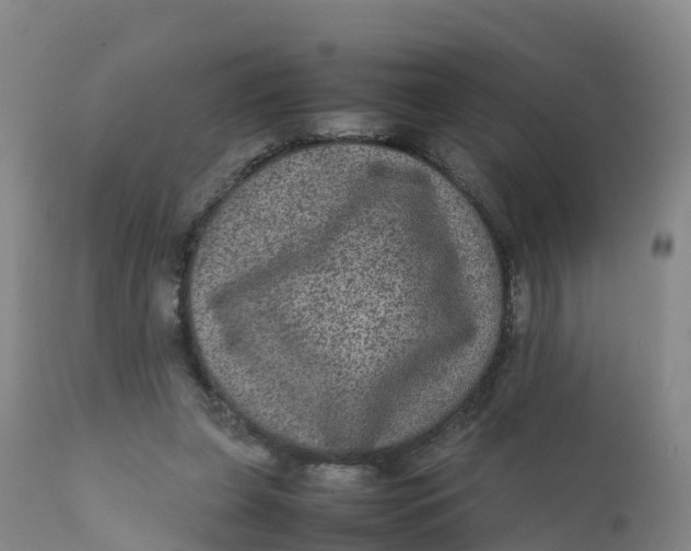 X0000111810255200908131506