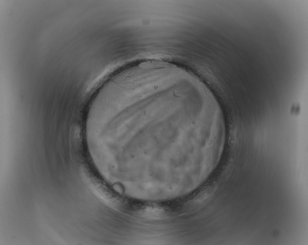 X0000111810256200908131506