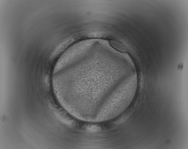 X0000111810258200908131506
