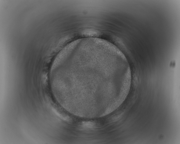 X0000111810259200908131506