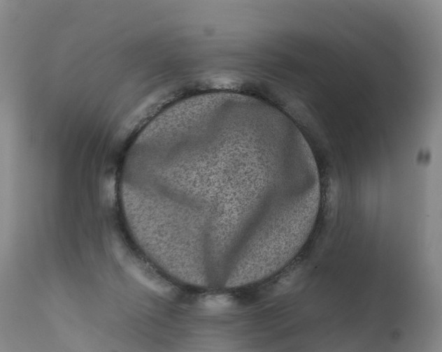 X0000111810262200908131506