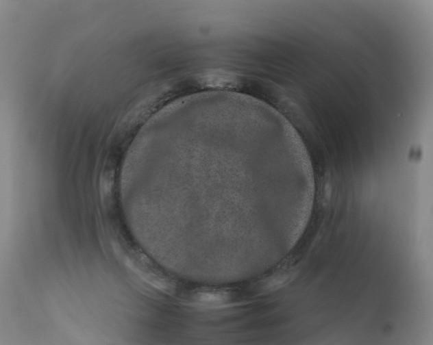 X0000111810263200908131506