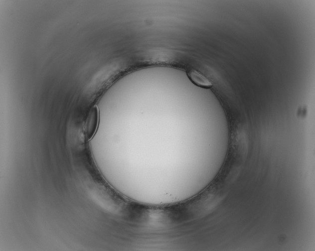 X0000111810264200908131506
