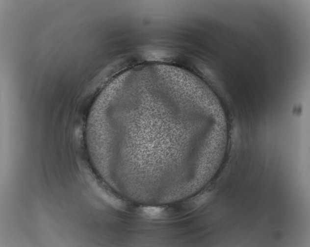 X0000111810265200908131506
