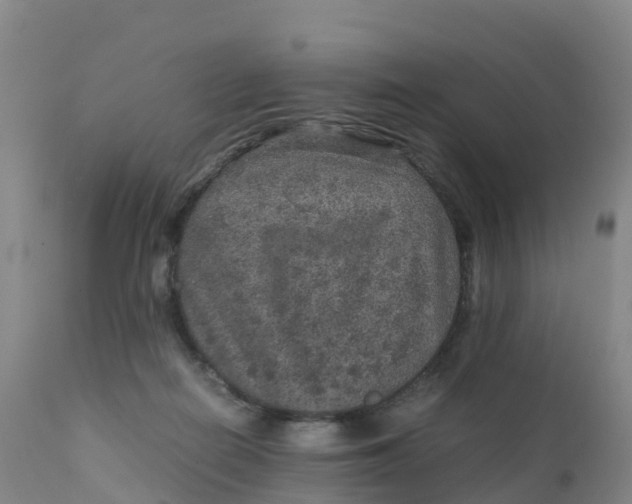X0000111810266200908131506