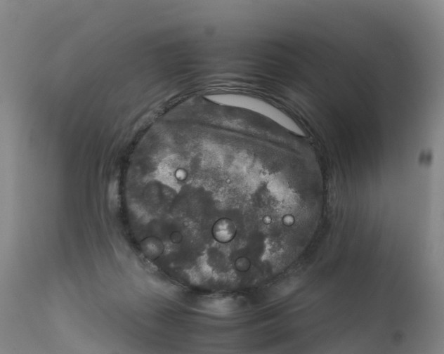 X0000111810267200908131506