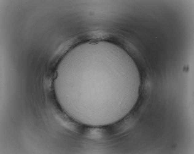 X0000111810268200908131506