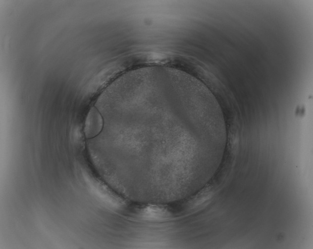 X0000111810270200908131506