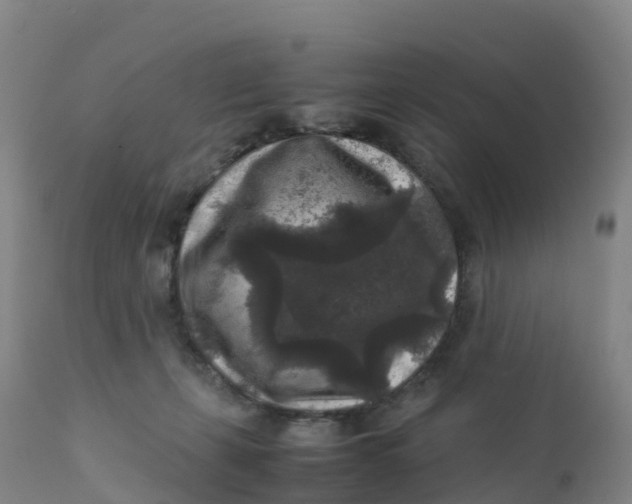 X0000111810271200908131506