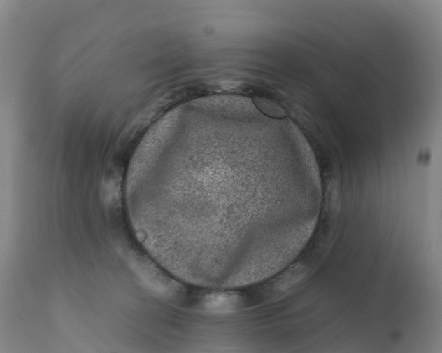X0000111810274200908131506