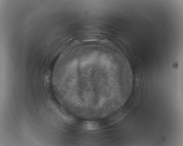 X0000111810275200908131506