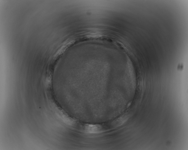 X0000111810277200908131506