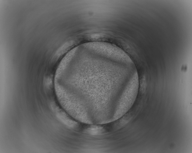 X0000111810278200908131506