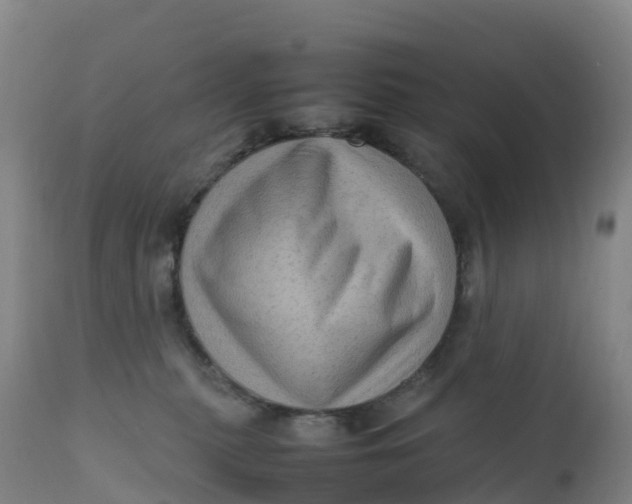 X0000111810279200908131506