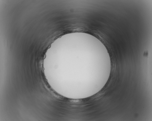 X0000111810281200908131506